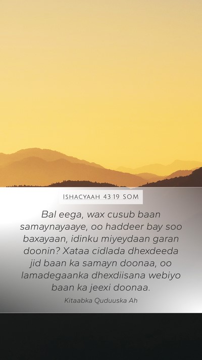 Ishacyaah 43:19 SOM Bible Verse Image