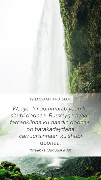Ishacyaah 44:3 SOM Bible Verse Image