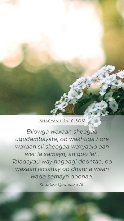 Ishacyaah 46:10 SOM Bible Verse Image