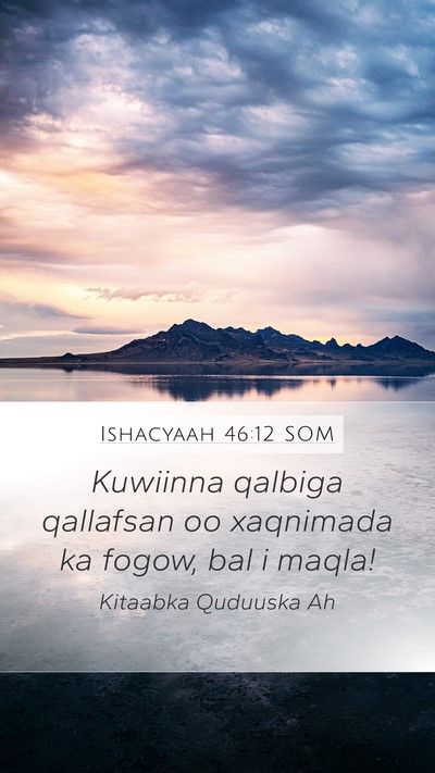 Ishacyaah 46:12 SOM Bible Verse Image