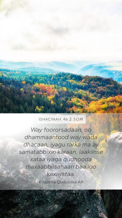 Ishacyaah 46:2 SOM Bible Verse Image