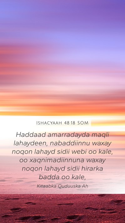 Ishacyaah 48:18 SOM Bible Verse Image