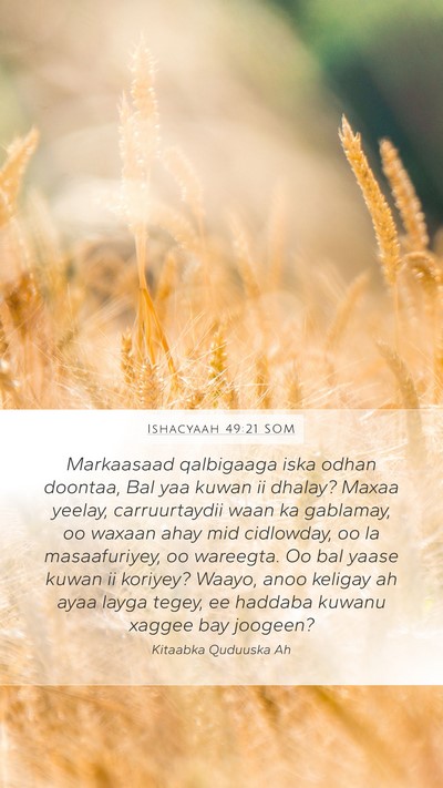 Ishacyaah 49:21 SOM Bible Verse Image
