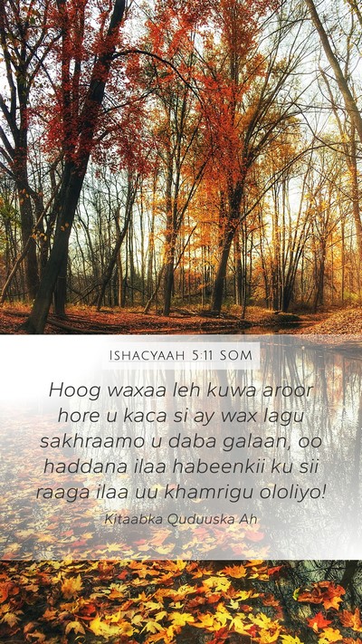 Ishacyaah 5:11 SOM Bible Verse Image