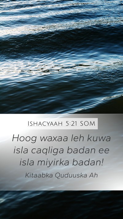Ishacyaah 5:21 SOM Bible Verse Image