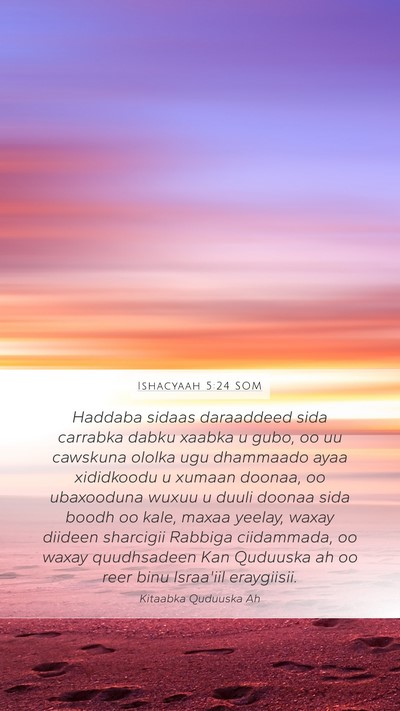 Ishacyaah 5:24 SOM Bible Verse Image