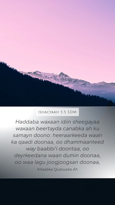 Ishacyaah 5:5 SOM Bible Verse Image