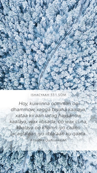 Ishacyaah 55:1 SOM Bible Verse Image