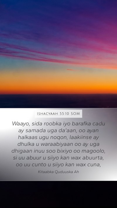 Ishacyaah 55:10 SOM Bible Verse Image