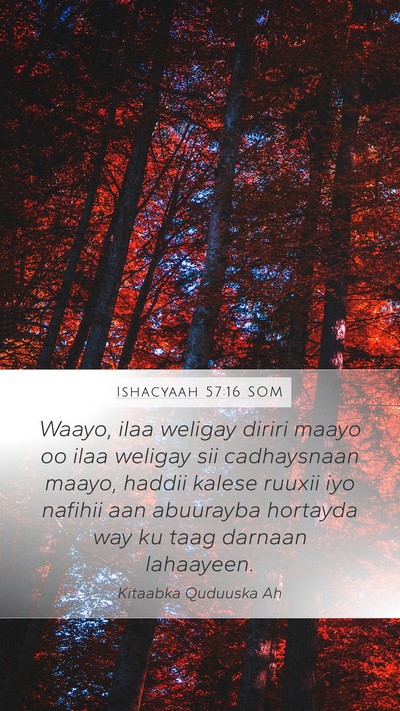 Ishacyaah 57:16 SOM Bible Verse Image