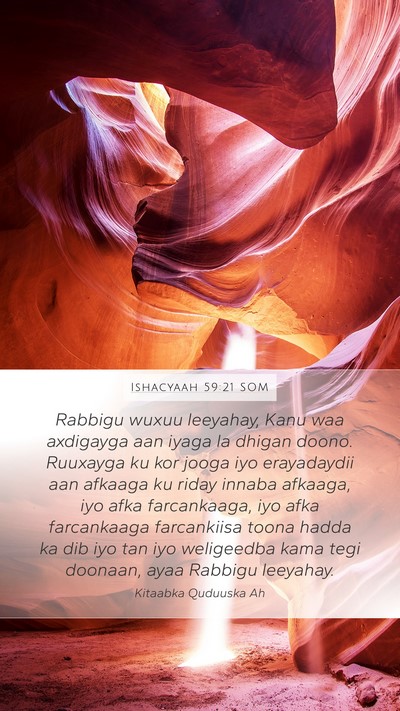 Ishacyaah 59:21 SOM Bible Verse Image