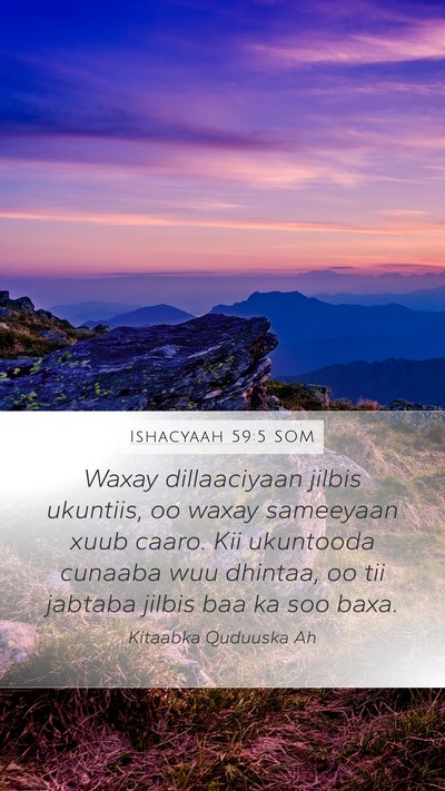 Ishacyaah 59:5 SOM Bible Verse Image