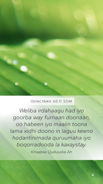 Ishacyaah 60:11 SOM Bible Verse Image