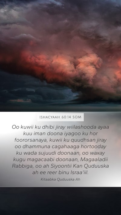 Ishacyaah 60:14 SOM Bible Verse Image
