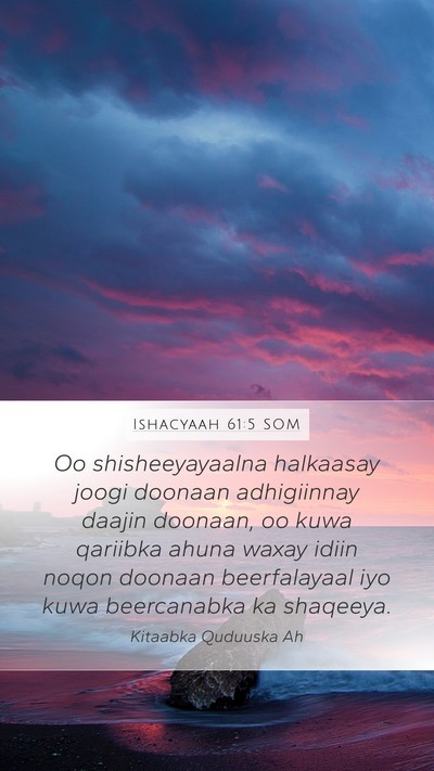 Ishacyaah 61:5 SOM Bible Verse Image
