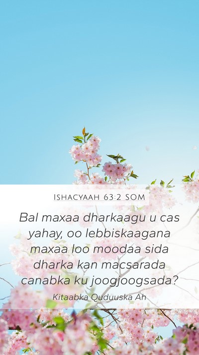 Ishacyaah 63:2 SOM Bible Verse Image