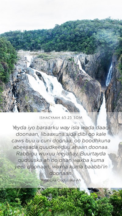 Ishacyaah 65:25 SOM Bible Verse Image