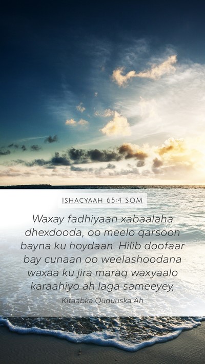 Ishacyaah 65:4 SOM Bible Verse Image