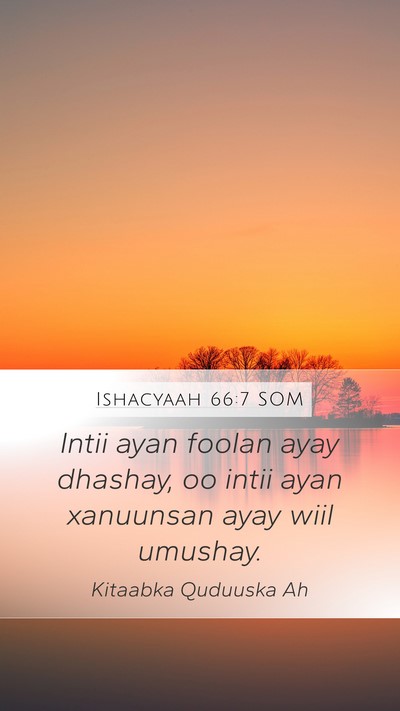 Ishacyaah 66:7 SOM Bible Verse Image