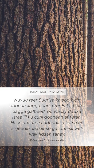 Ishacyaah 9:12 SOM Bible Verse Image