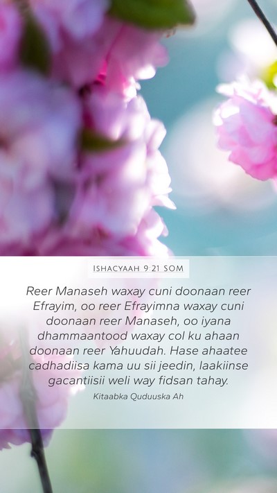 Ishacyaah 9:21 SOM Bible Verse Image