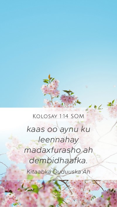 Kolosay 1:14 SOM Bible Verse Image