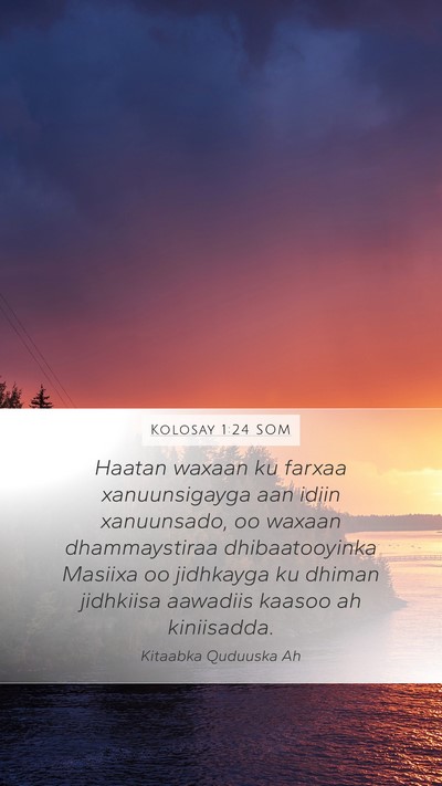 Kolosay 1:24 SOM Bible Verse Image