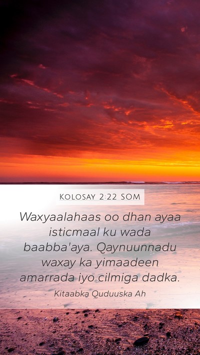 Kolosay 2:22 SOM Mobile Phone Wallpaper - Waxyaalahaas oo dhan ayaa isticmaal ku wada - Mobile Bible Verse Wallpaper