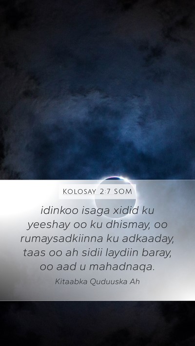 Kolosay 2:7 SOM Bible Verse Image