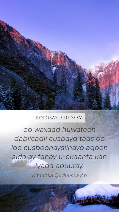 Kolosay 3:10 SOM Bible Verse Image