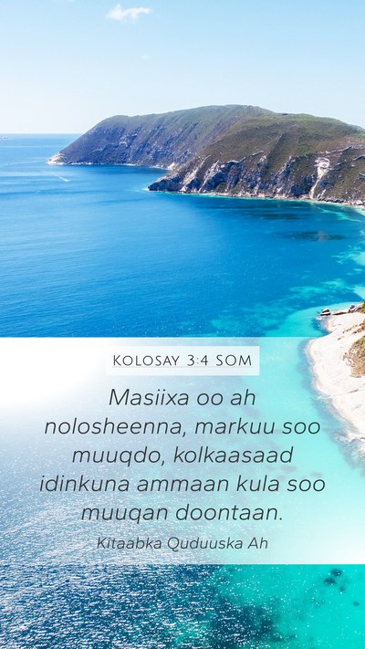 Kolosay 3:4 SOM Bible Verse Image