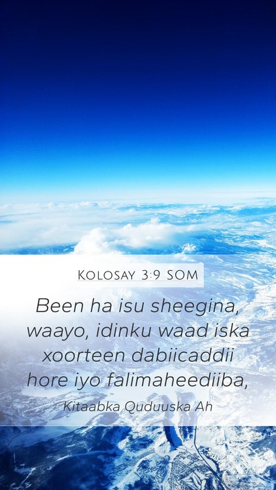 Kolosay 3:9 SOM Bible Verse Image