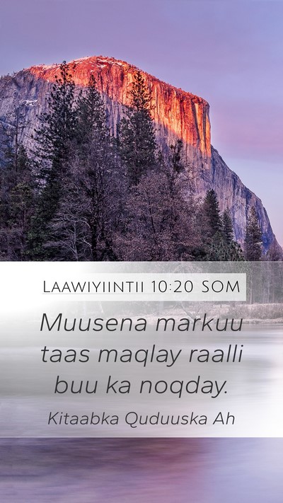 Laawiyiintii 10:20 SOM Mobile Phone Wallpaper - Muusena markuu taas maqlay raalli buu ka - Mobile Bible Verse Wallpaper