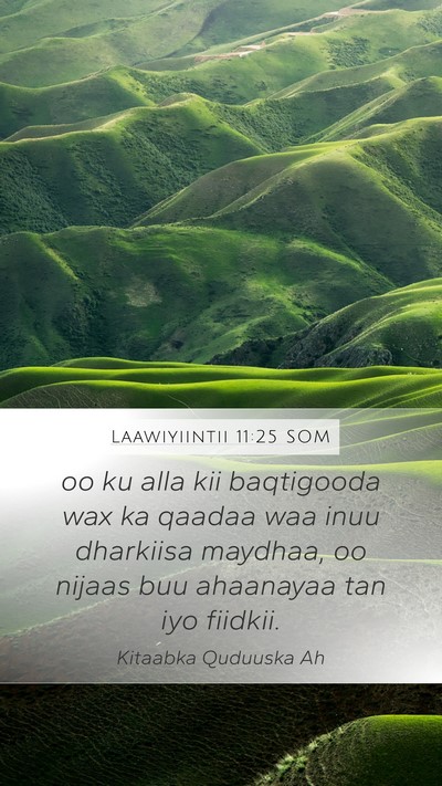 Laawiyiintii 11:25 SOM Bible Verse Image