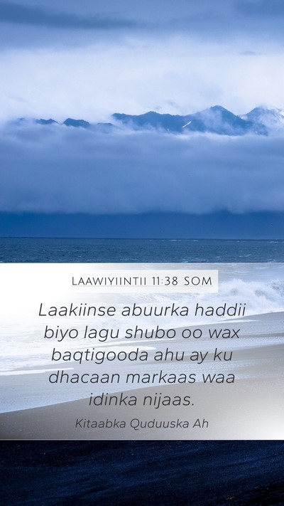 Laawiyiintii 11:38 SOM Bible Verse Image