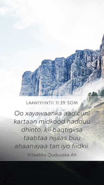 Laawiyiintii 11:39 SOM Bible Verse Image