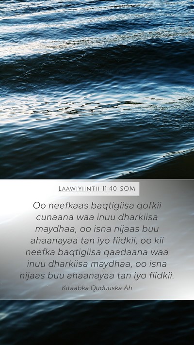 Laawiyiintii 11:40 SOM Bible Verse Image