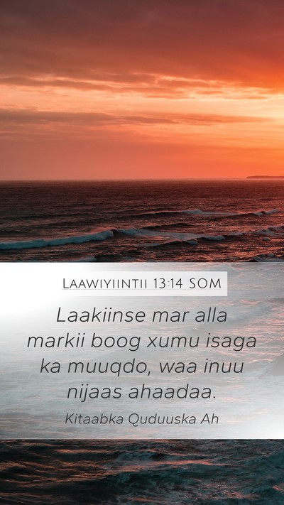 Laawiyiintii 13:14 SOM Bible Verse Image