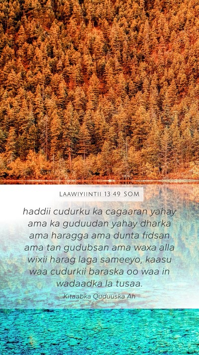 Laawiyiintii 13:49 SOM Mobile Phone Wallpaper - haddii cudurku ka cagaaran yahay ama ka guduudan - Mobile Bible Verse Wallpaper