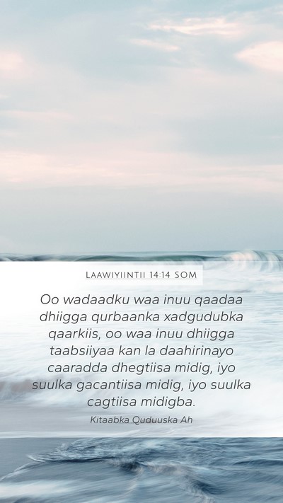 Laawiyiintii 14:14 SOM Bible Verse Image