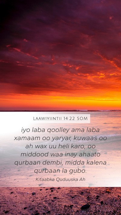 Laawiyiintii 14:22 SOM Bible Verse Image