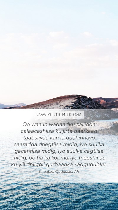 Laawiyiintii 14:28 SOM Bible Verse Image