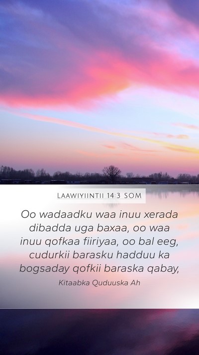Laawiyiintii 14:3 SOM Bible Verse Image