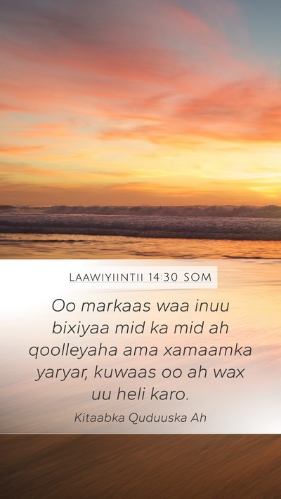 Laawiyiintii 14:30 SOM Bible Verse Image
