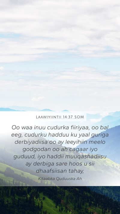 Laawiyiintii 14:37 SOM Mobile Phone Wallpaper - Oo waa inuu cudurka fiiriyaa, oo bal eeg, cudurku - Mobile Bible Verse Wallpaper