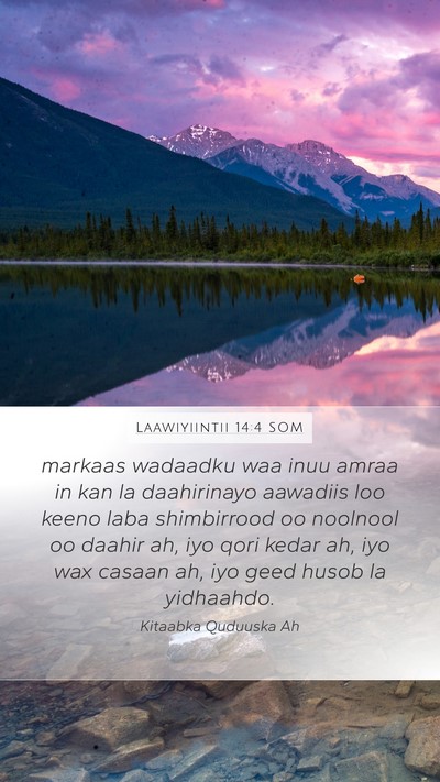 Laawiyiintii 14:4 SOM Bible Verse Image