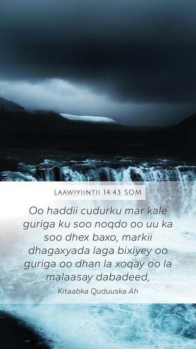 Laawiyiintii 14:43 SOM Mobile Phone Wallpaper - Oo haddii cudurku mar kale guriga ku soo noqdo oo - Mobile Bible Verse Wallpaper