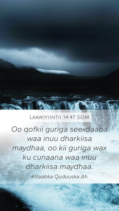 Laawiyiintii 14:47 SOM Mobile Phone Wallpaper - Oo qofkii guriga seexdaaba waa inuu dharkiisa - Mobile Bible Verse Wallpaper