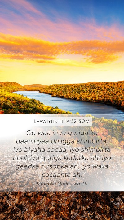Laawiyiintii 14:52 SOM Mobile Phone Wallpaper - Oo waa inuu guriga ku daahiriyaa dhiigga - Mobile Bible Verse Wallpaper