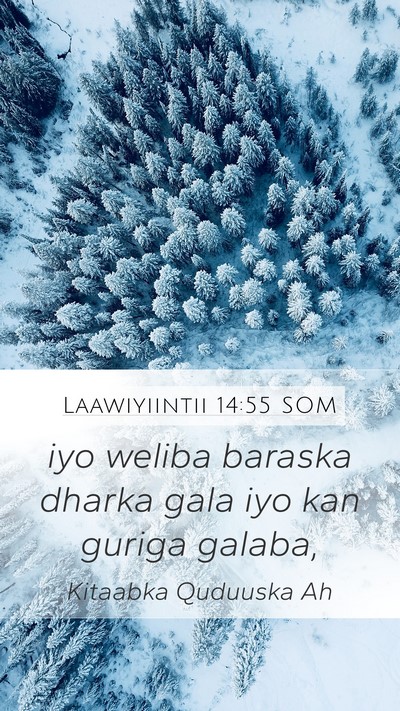 Laawiyiintii 14:55 SOM Mobile Phone Wallpaper - iyo weliba baraska dharka gala iyo kan guriga - Mobile Bible Verse Wallpaper